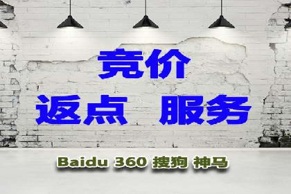 精准营销：百度推广平台的成功案例解析