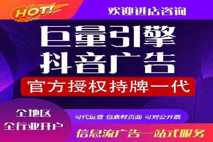 SEM运营策略案例分析